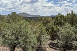 26 Acr 3027, Vernon, AZ 85940 - Photo 48