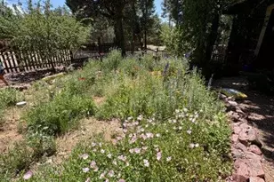 8206 W Parkinson Dr, Strawberry, AZ 85544 - Photo 58
