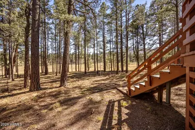 10 County Road 2271 --, Alpine, AZ 85920 - Photo 26