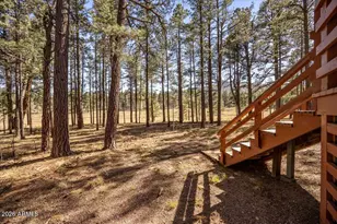 10 County Rd 2271, Alpine, AZ 85920 - Photo 26