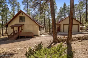 10 County Rd 2271, Alpine, AZ 85920 - Photo 4