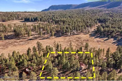 10 County Road 2271 --, Alpine, AZ 85920 - Photo 28