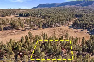 10 County Rd 2271, Alpine, AZ 85920 - Photo 28