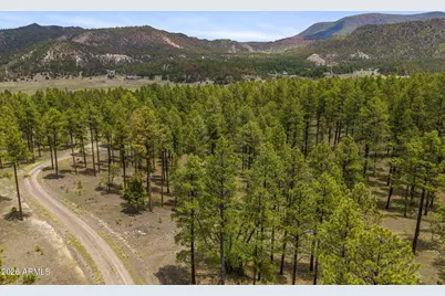 2184 N Highway 191 -- #-, Nutrioso, AZ 85932 - Photo 16