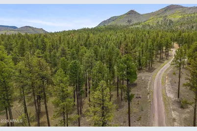 2184 N Highway 191 -- #-, Nutrioso, AZ 85932 - Photo 14