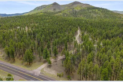 2184 N Highway 191 -- #-, Nutrioso, AZ 85932 - Photo 12