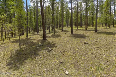 2184 N Highway 191 -- #-, Nutrioso, AZ 85932 - Photo 18