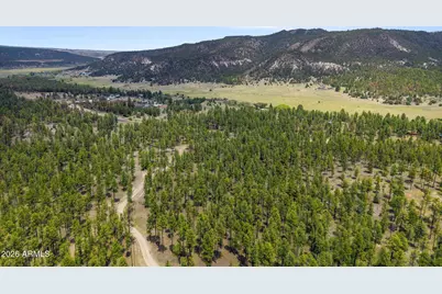 2184 N Highway 191 -- #-, Nutrioso, AZ 85932 - Photo 6