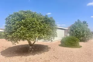 437 E Germann Rd, San Tan Valley, AZ 85140 - Photo 36