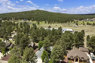 468 S Piping Rock Dr, Williams, AZ 86046 - Photo 2