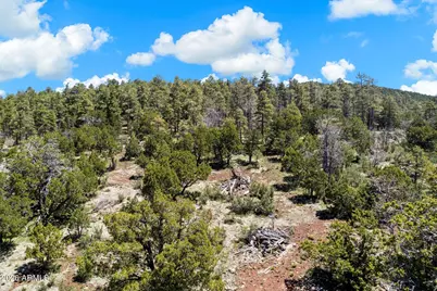 18 Ponderosa Drive #-, Munds Park, AZ 86017 - Photo 30