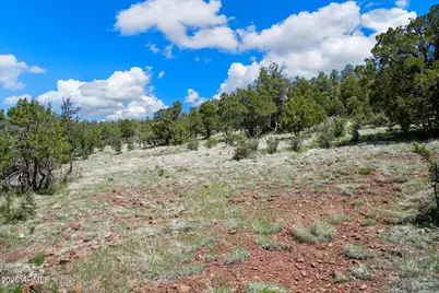 18 Ponderosa Drive #-, Munds Park, AZ 86017 - Photo 12