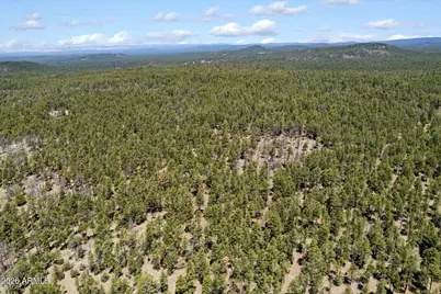 18 Ponderosa Drive #-, Munds Park, AZ 86017 - Photo 18