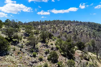 18 Ponderosa Drive #-, Munds Park, AZ 86017 - Photo 34