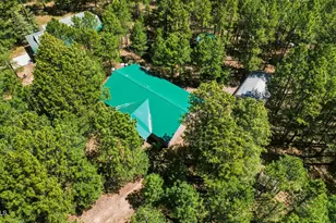 1233 Merzville Rd, Forest Lakes, AZ 85931 - Photo 38