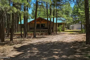 1233 Merzville Rd, Forest Lakes, AZ 85931 - Photo 4