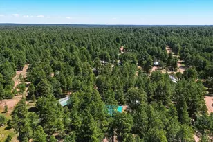 1233 Merzville Rd, Forest Lakes, AZ 85931 - Photo 36