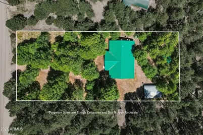 1233 Merzville Road, Forest Lakes, AZ 85931 - Photo 42