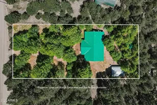 1233 Merzville Rd, Forest Lakes, AZ 85931 - Photo 42
