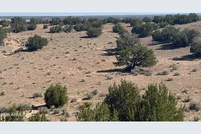 Lot 901 Woodland Valley Ranch -- #901, Saint Johns, AZ 85936 - Photo 14