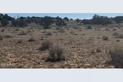 Lot 901 Woodland Valley Ranch -- #901, Saint Johns, AZ 85936 - Photo 20