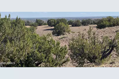 Lot 901 Woodland Valley Ranch -- #901, Saint Johns, AZ 85936 - Photo 2