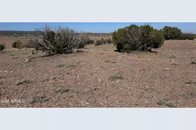 Lot 901 Woodland Valley Ranch -- #901, Saint Johns, AZ 85936 - Photo 6