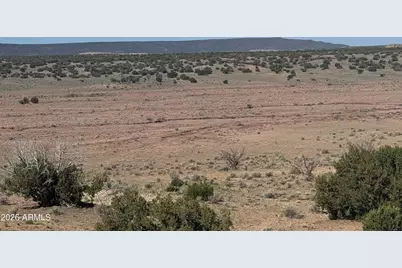 Lot 901 Woodland Valley Ranch -- #901, Saint Johns, AZ 85936 - Photo 16