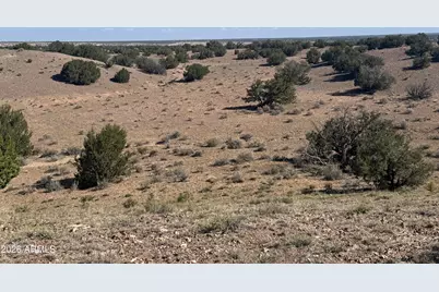 Lot 901 Woodland Valley Ranch -- #901, Saint Johns, AZ 85936 - Photo 12
