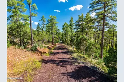 Tbd E Ellsworth -- #3, Show Low, AZ 85901 - Photo 6