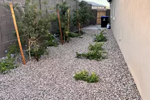13461 W Cassia Trail, Peoria, AZ 85383 - Photo 32