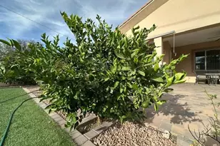 6830 N 14th St, Phoenix, AZ 85014 - Photo 24