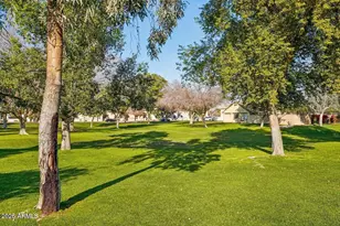 1535 N Horne --, Mesa, AZ 85203 - Photo 24