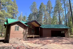 8 County Road 2068 --, Alpine, AZ 85920 - Photo 2