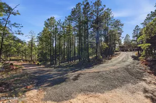 2060 Gilbert Ln, Overgaard, AZ 85933 - Photo 8
