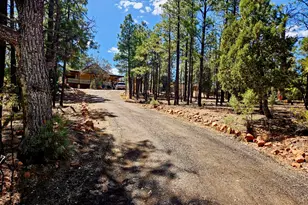 2060 Gilbert Ln, Overgaard, AZ 85933 - Photo 4