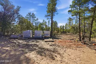 2060 Gilbert Ln, Overgaard, AZ 85933 - Photo 66