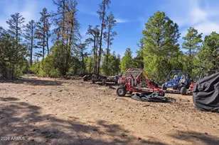 2060 Gilbert Ln, Overgaard, AZ 85933 - Photo 64