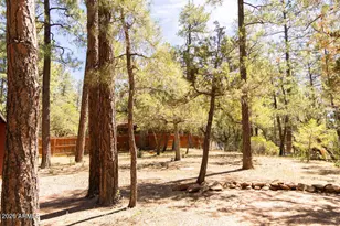 5265 N Squirrel Run, Pine, AZ 85544 - Photo 22