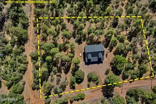 2797 Paradise Pines Rd, Overgaard, AZ 85933 - Photo 34