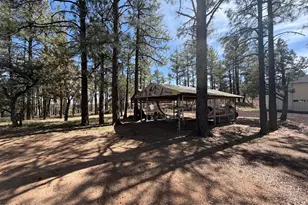 988 Timberland Rd, Show Low, AZ 85901 - Photo 74