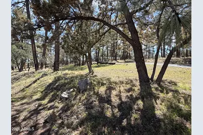 988 Timberland Road, Show Low, AZ 85901 - Photo 78