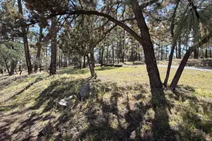 988 Timberland Rd, Show Low, AZ 85901 - Photo 78