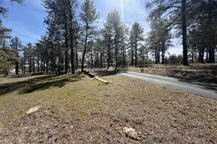 988 Timberland Rd, Show Low, AZ 85901 - Photo 12