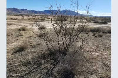 Tbd E Many Wells Road -- #30, Elfrida, AZ 85610 - Photo 4