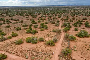 92 Cr N5417 --, Concho, AZ 85924 - Photo 46