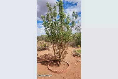 92 Cr N5417 --, Concho, AZ 85924 - Photo 38