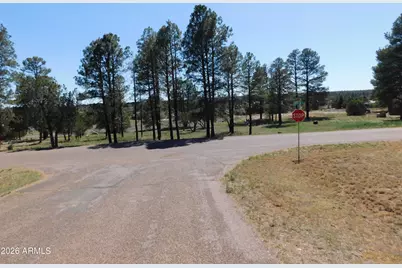 2215 Country Club Drive #12, Overgaard, AZ 85933 - Photo 2
