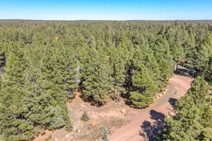 1448 Mineral Dr, Forest Lakes, AZ 85931 - Photo 20