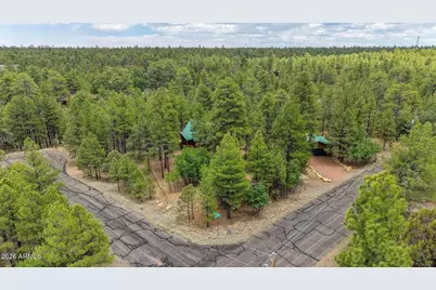 3009 Starlight Drive, Happy Jack, AZ 86024 - Photo 28